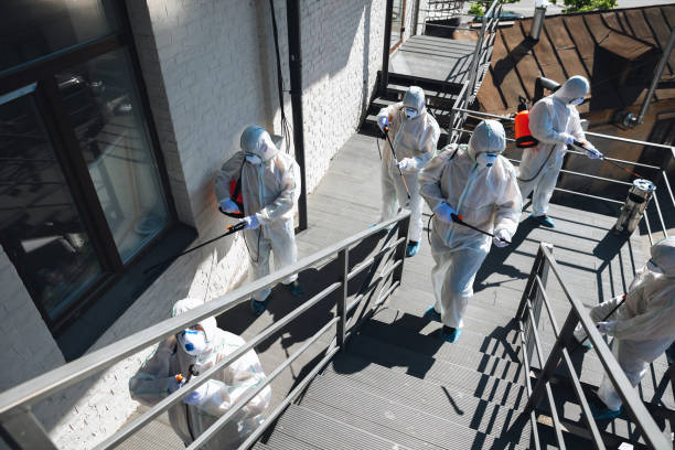 Best Industrial Mold Remediation  in Munising, MI