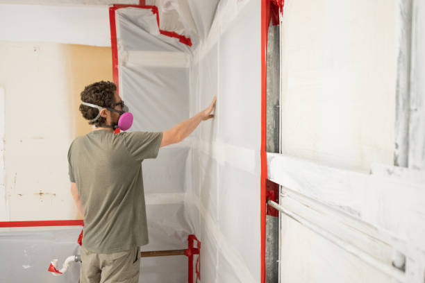 Best Mold Remediation for Healthcare Facilities  in Munising, MI